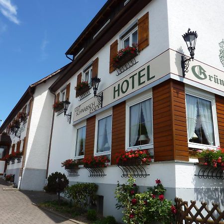 Hotel Landgasthof Gruner Baum Hochdorf  Екстер'єр фото