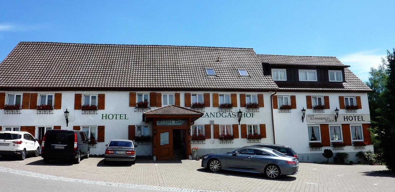 Hotel Landgasthof Gruner Baum Hochdorf  Екстер'єр фото