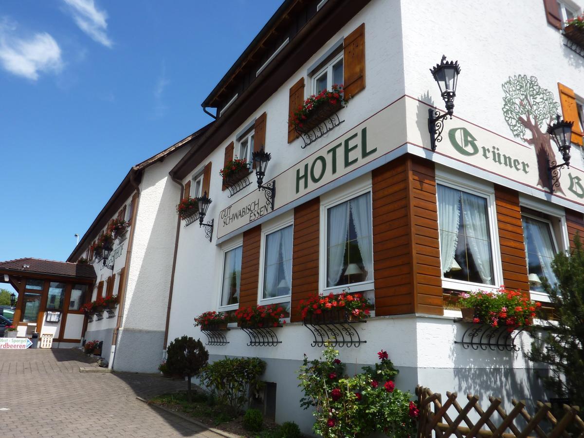 Hotel Landgasthof Gruner Baum Hochdorf  Екстер'єр фото